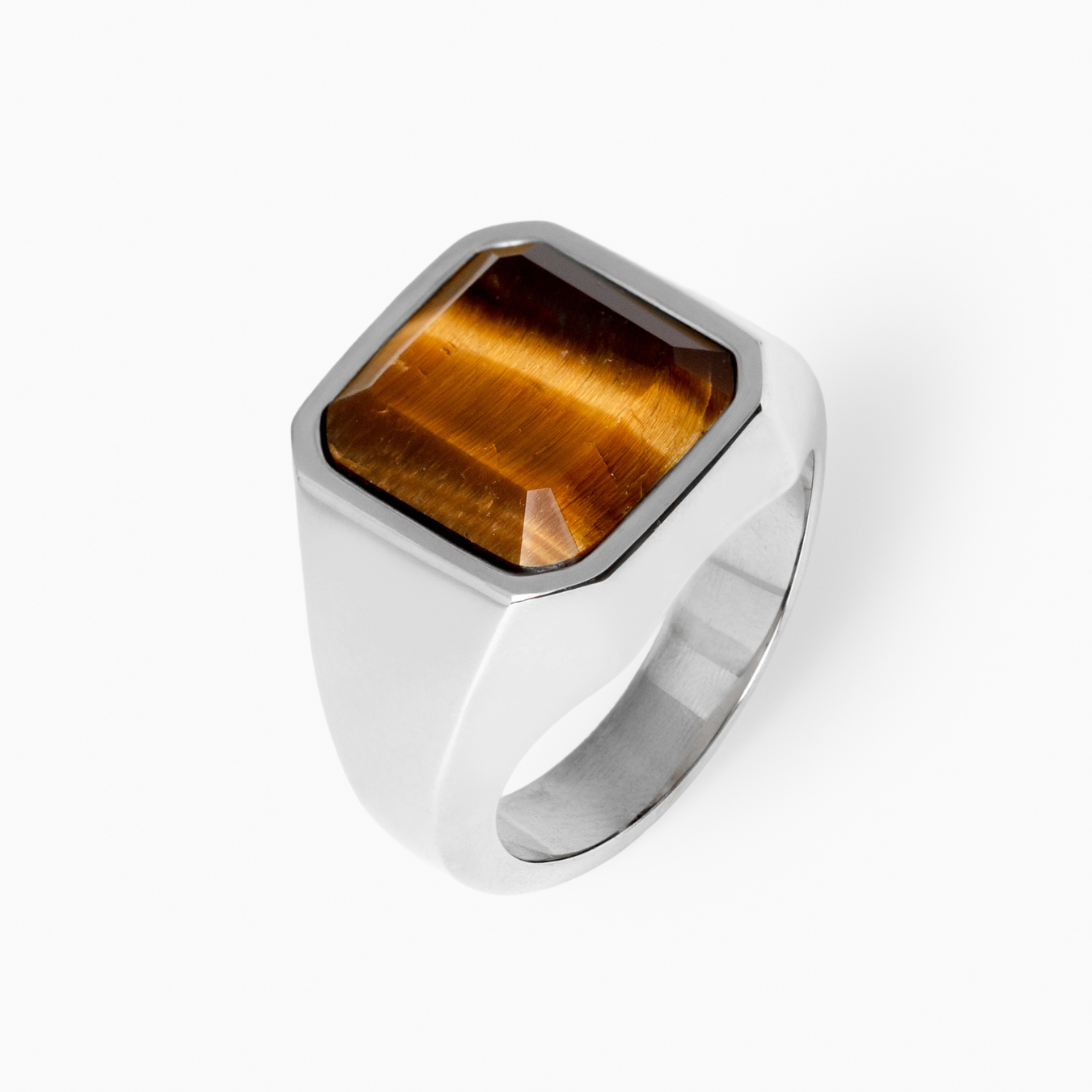 Horizon Signet Ring (Silver)