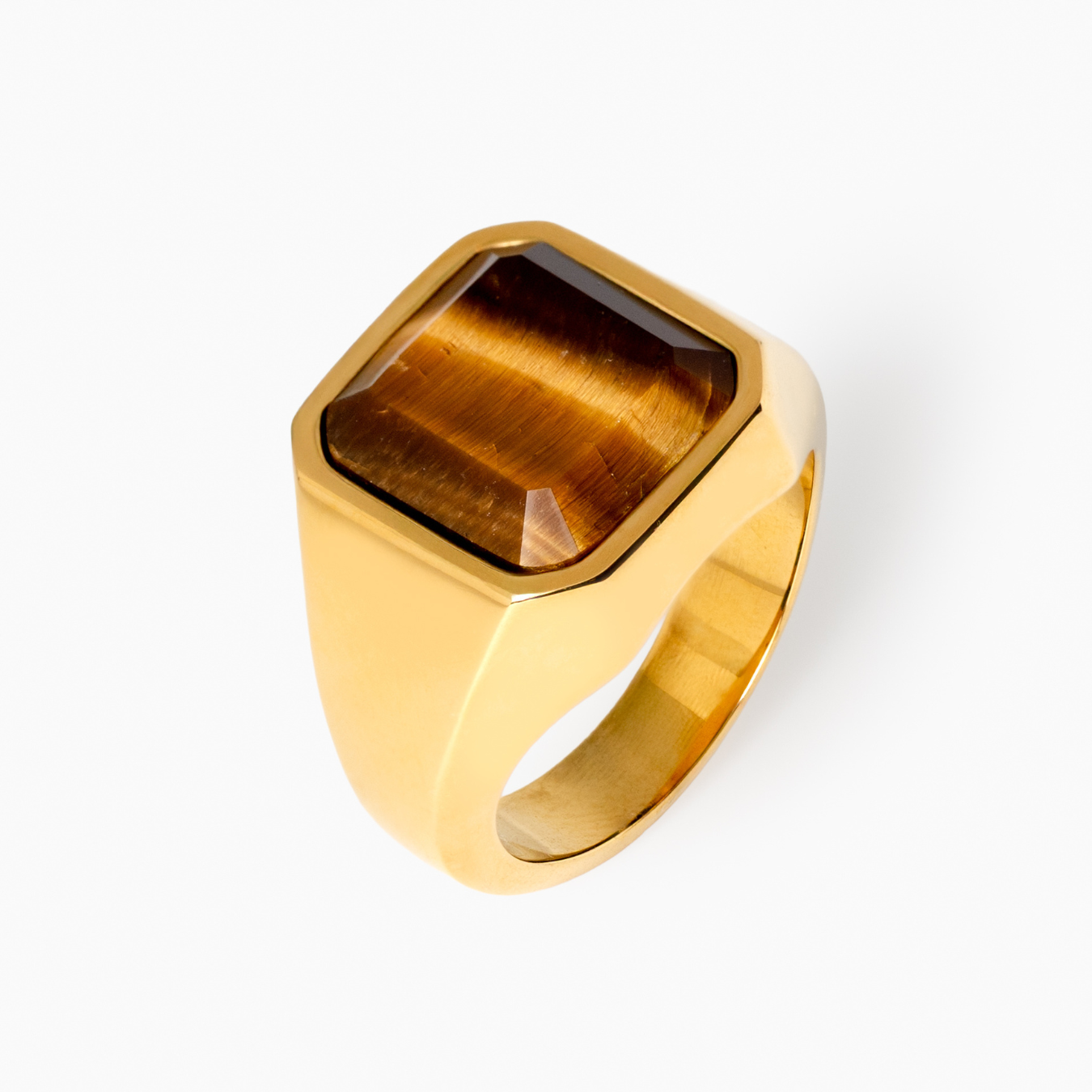 Horizon Signet Ring (Gold)